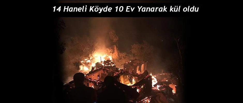 14 hanenin bulunduğu köyde 10 ahşap ev yanarak kül oldu.