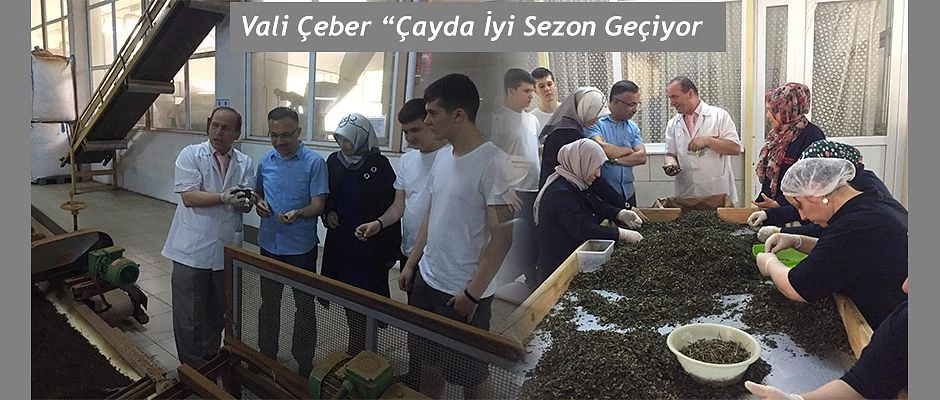 Rize Valisi Kemal Çeber, Cumhuriyet Çay Fabrikasında  incelemelerde bulundu.