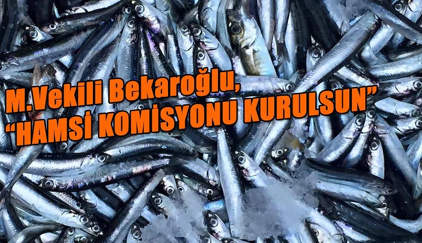 Bekaroğlu: Hamsi Komisyonu kurulsun, sorunlar çözülsün, vatandaş balık yesin