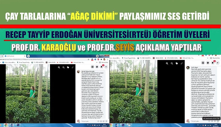 Çay tarlalarında “Ağaç dikilsin” Paylaşımına Prof. Seyis ve Prof. Karaoğlu’ndan önemli açıklamalar