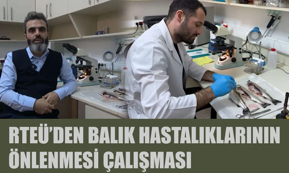 Balık hastalıklarının önlenmesi çalışmaları