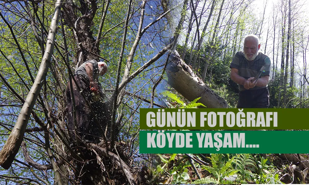 Günün Fotoğrafı: Köyde Yaşam