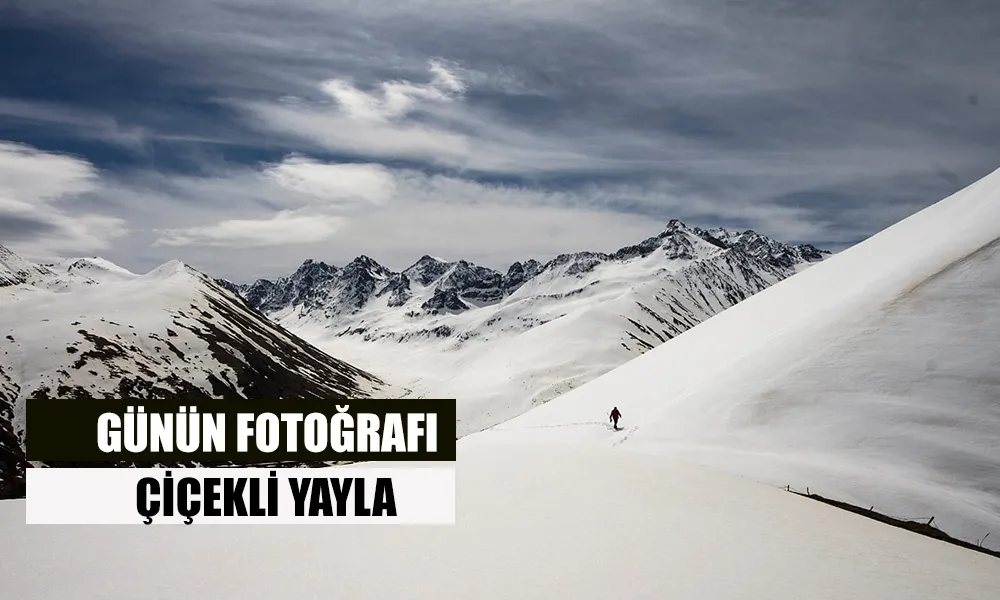 Günün Fotoğrafı: Çiçekli Yayla