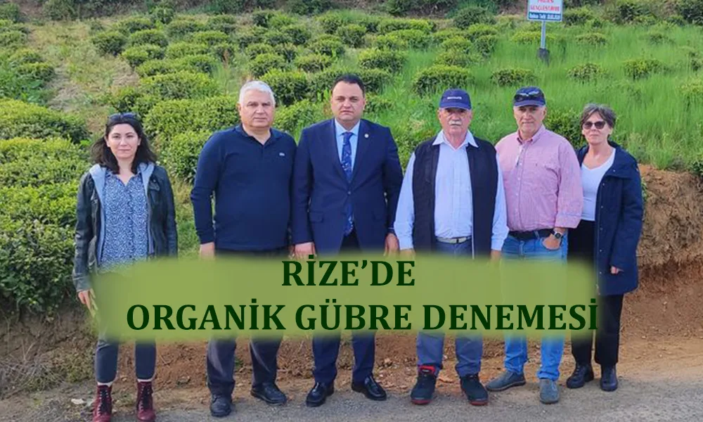 Macaristan’dan getirdiler, Rize’de denenmeye başlandı