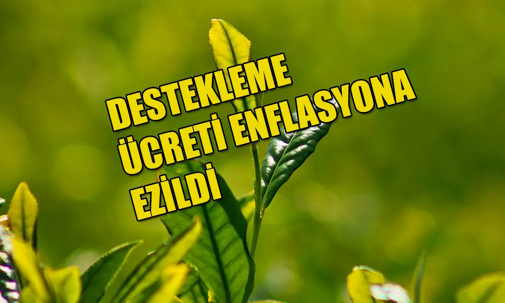 Destekleme ücreti enflasyona ezildi