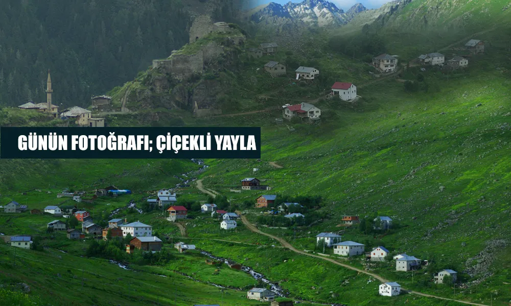 Günün Fotoğrafı; Çiçekli Yayla Kale Köyü