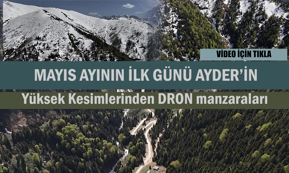 Manzarası ile büyüleyen bir yayla: Ayder