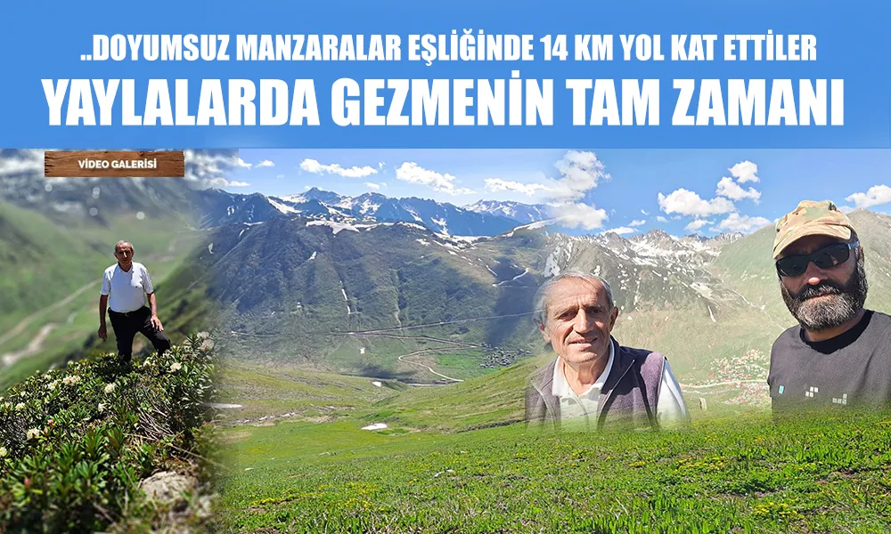 Yaylalarda Şimdi tam GEZME zamanı