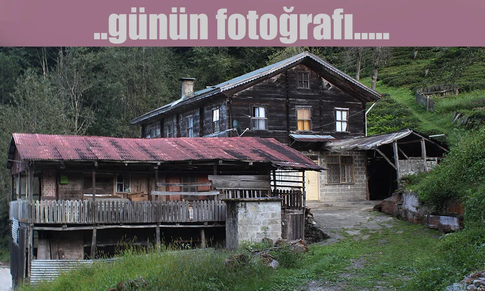 Günün Fotoğrafı