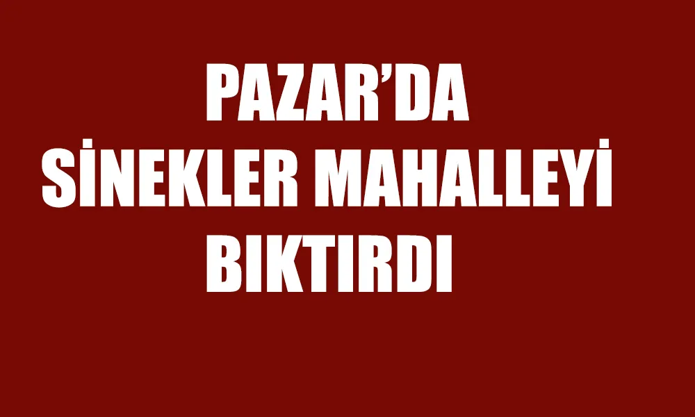 Pazar