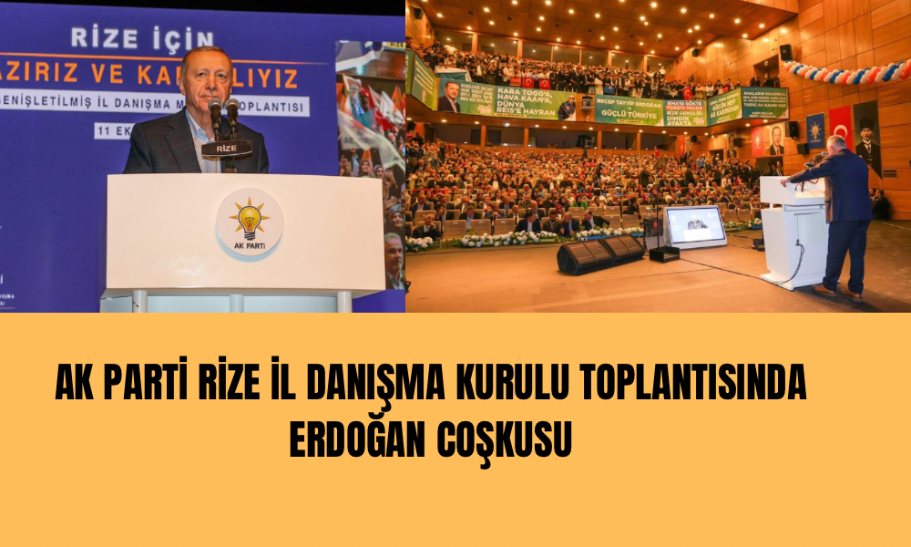 İl Danışma Toplantısı Erdoğan