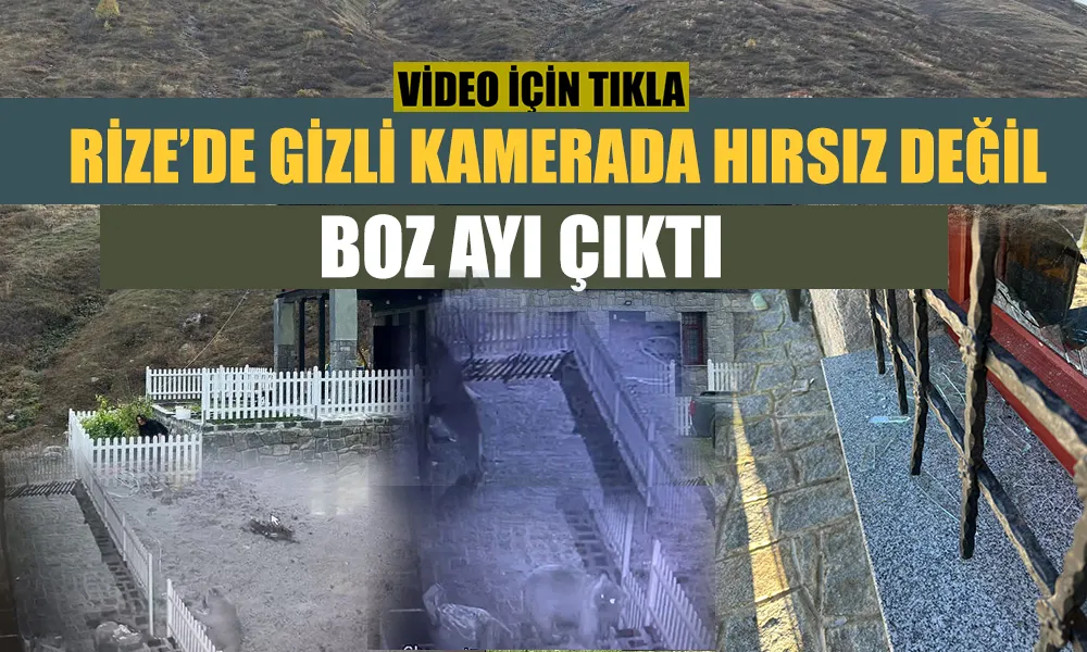 Gizli kameradan hırsız değil ‘boz ayı’ çıktı