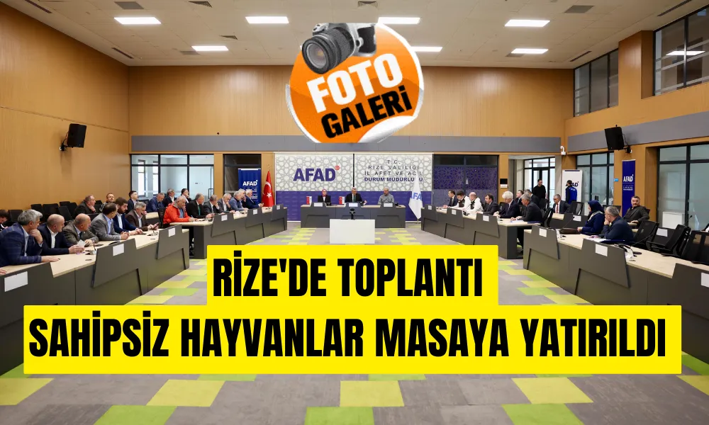 Rize