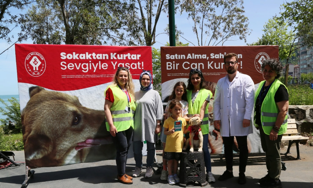 MİNİK CANLAR YENİ YUVALARINA KAVUŞTU