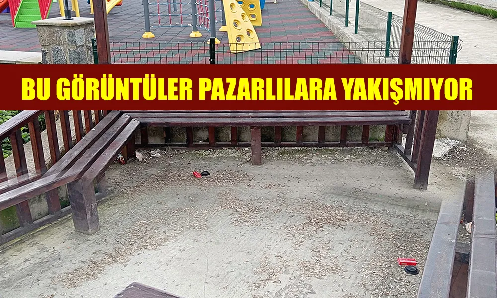 Pazar’da Kamelya Rezaleti: Bu Görüntü Pazarlılara Yakışmıyor