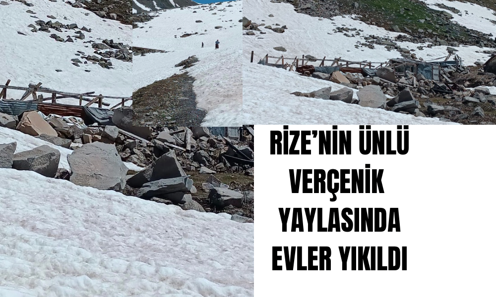Kar ve Ayılar Evlere Zarar Verdi