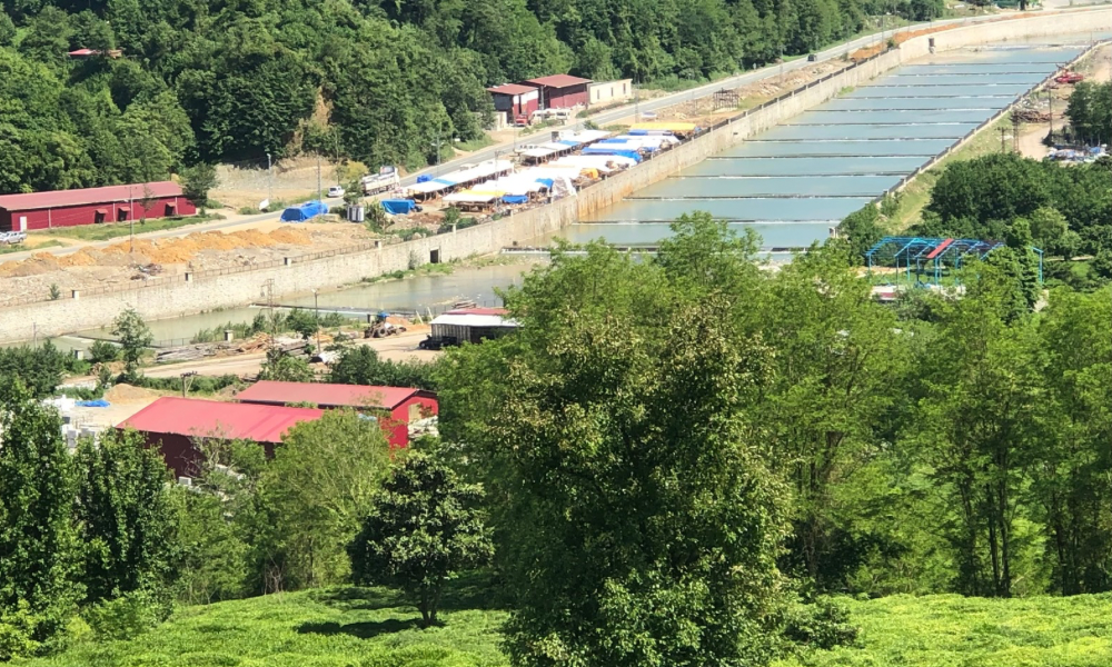 Geçen sene yaşananlar umarım bu sene yaşanmaz 