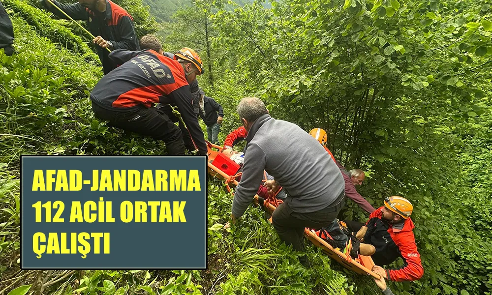 Rize’de Çaylık Araziden Yuvarlanan Vatandaş AFAD Koordinasyonunda Kurtarıldı