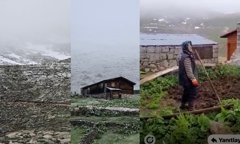 Haziran Sürprizi: Rize Samistal Yaylası