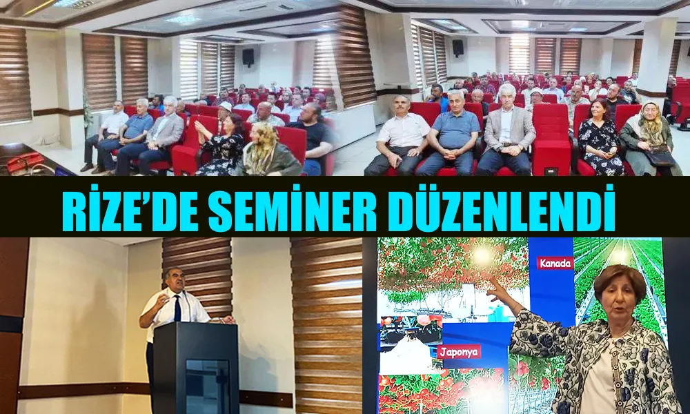 Rize