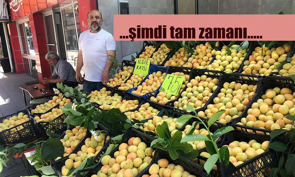 Balık Sezonu Kapandı, Tezgahta Şimdi Kayısı Var