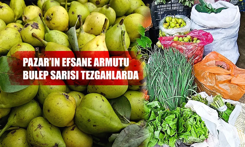 Pazar’ın Efsane Armutu “Bulep Sarısı” Pazarda Yerini Aldı