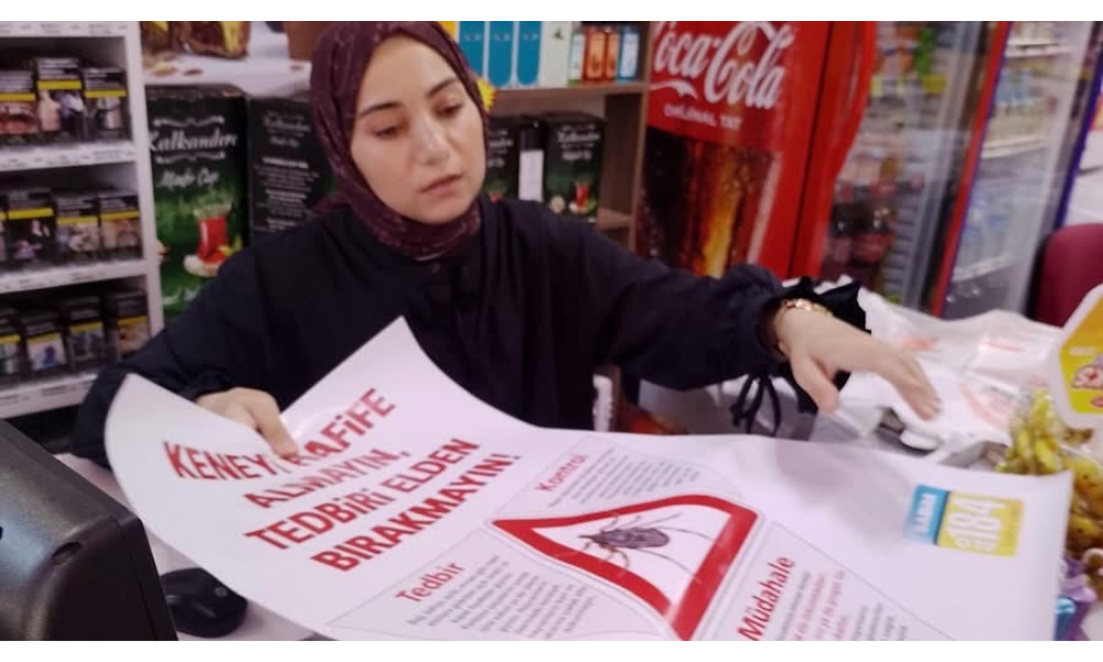 Rize’de Keneye Karşı Yoğun Mücadele