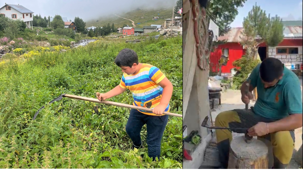 Çiçekli Yayla’da Ot Biçme Mesaisi Başladı