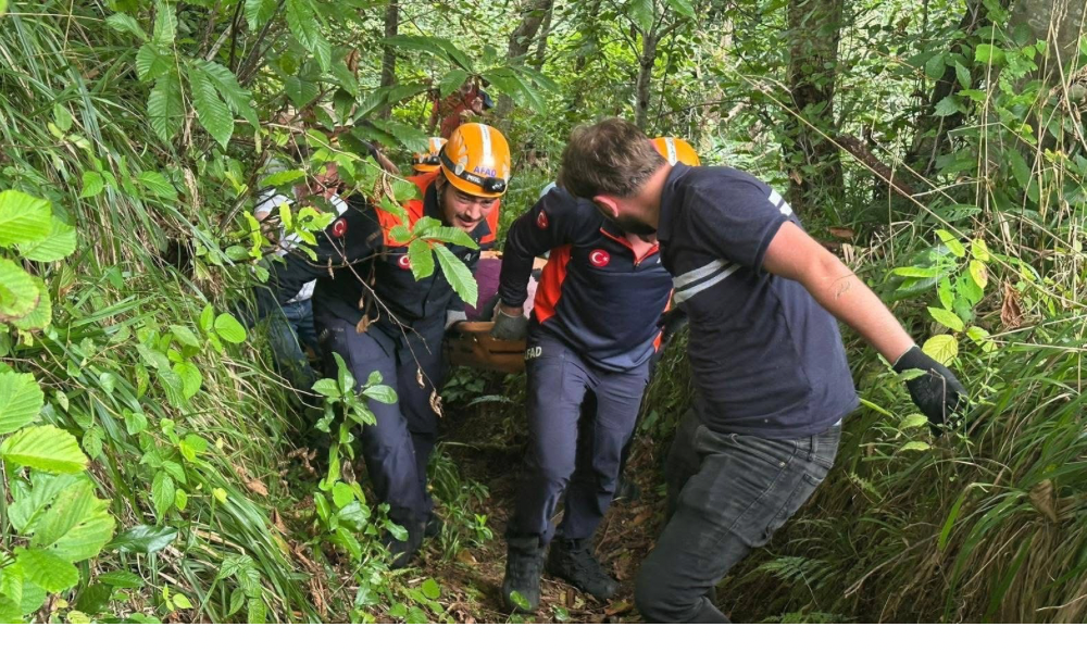 Çayeli’nde Çaylık Arazide Kurtarma Operasyonu