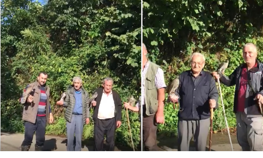 Güzellik Yarışması Tarihi Ciha Kalesi