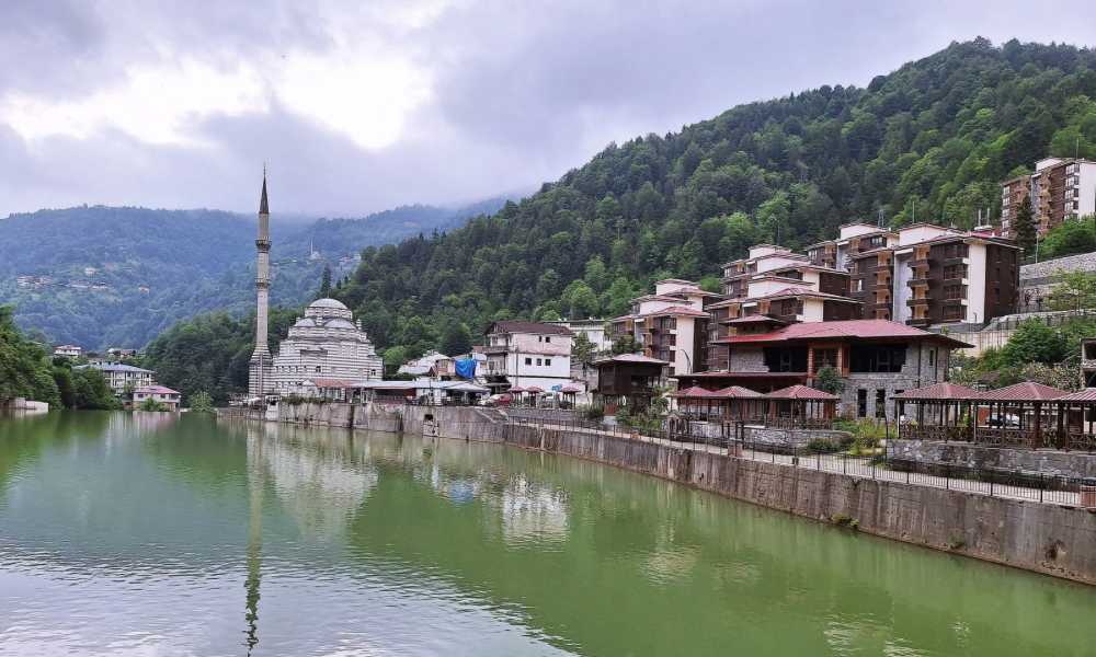 Rize