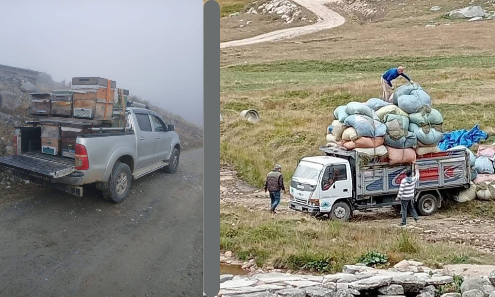 Yüksek Yaylalarda Göç Başladı