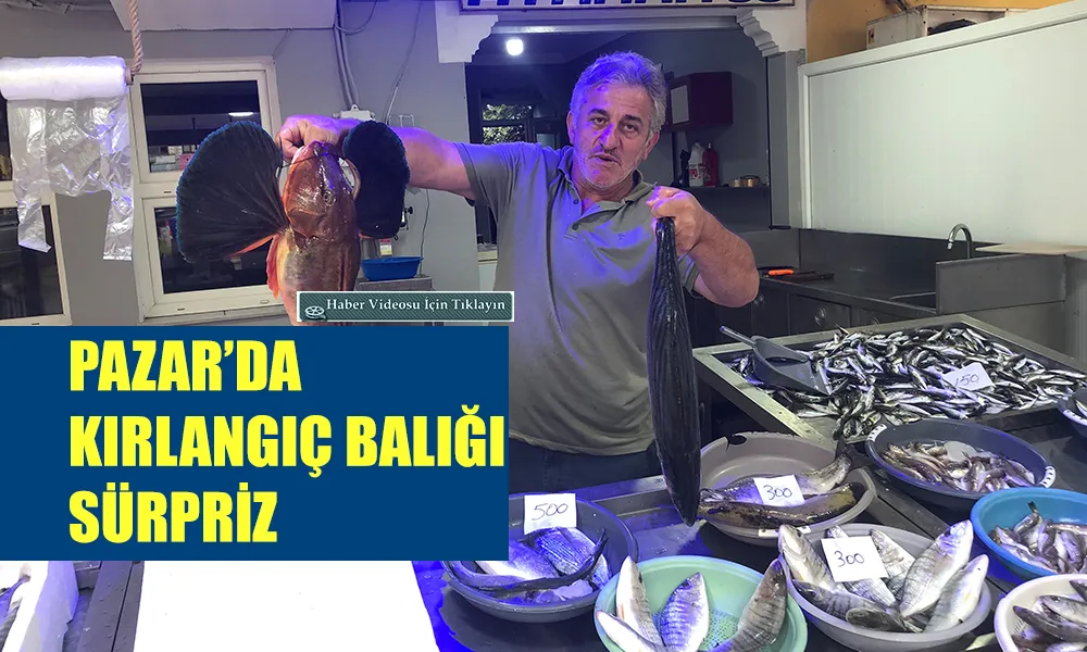 Pazar’da Sezonun Sürprizi: Kırlangıç Balığı Tezgâhta