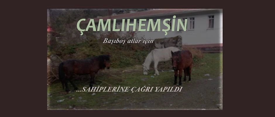 Çamlıhemşin