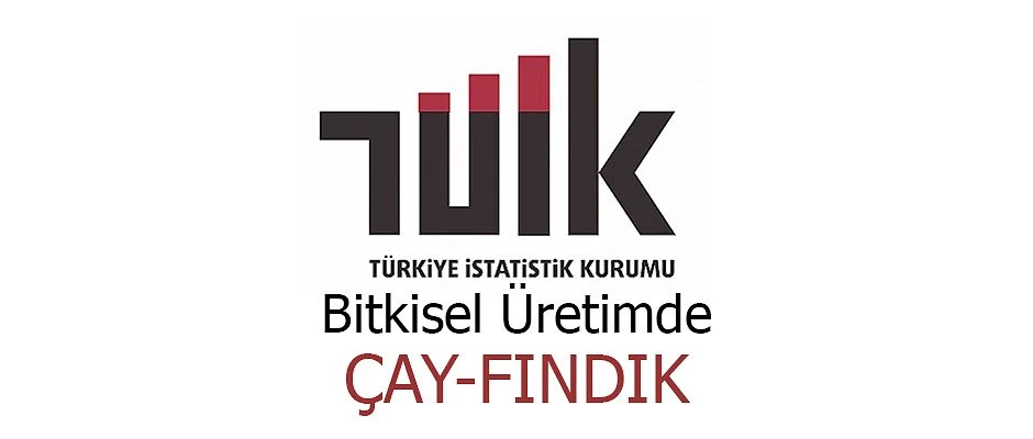 TÜİK BİTKİSEL ÜRETİM İSTATİSTİKLERİNİ AÇIKLANDI