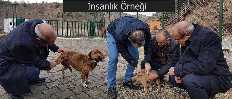 İNSANLIK ÖRNEĞİ