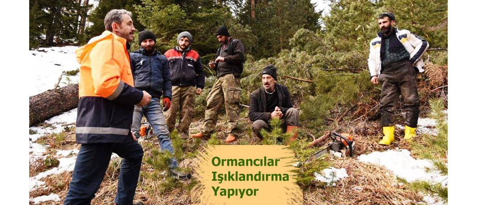 ORMANCILARDA IŞIKLANDIRMA YAPIYOR