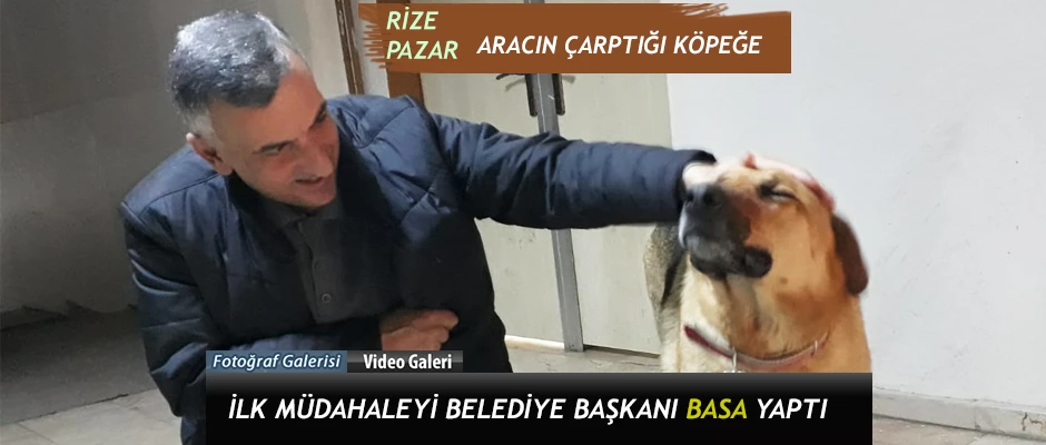 Rize-Pazar’da aracın çarptığı Köpeğe ilk müdahale Başkan Basa’dan yapıldı