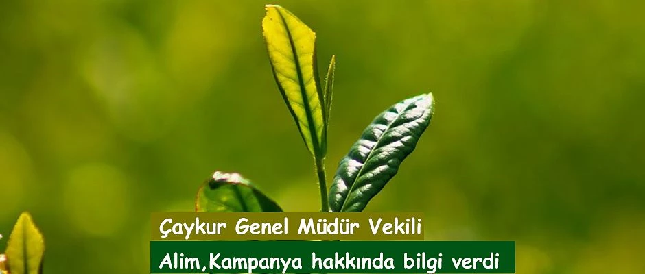 Çaykur Çay Sezonuna Hazır