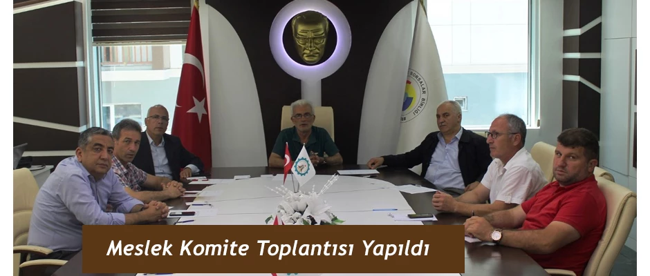 HOPA TSO MAYIS AYI MESLEK KOMİTESİ TOPLANTILARI GERÇEKLEŞTİRİLDİ