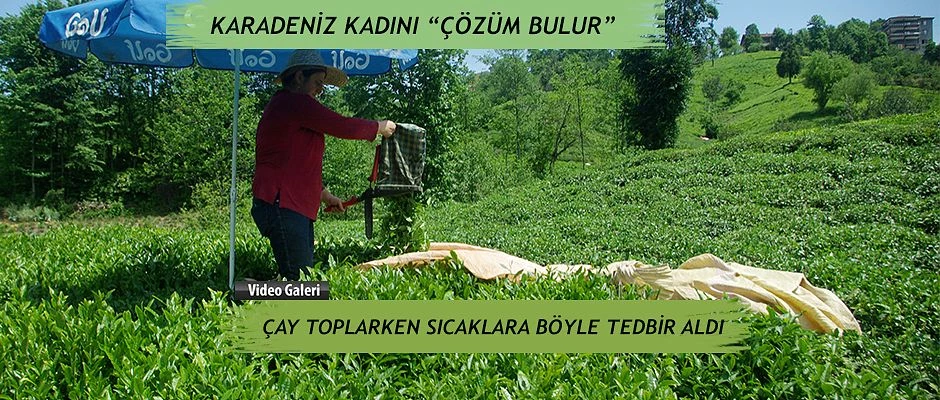 Karadeniz Kadınının zekası, Güneşten korunmak için bu yolu seçti.