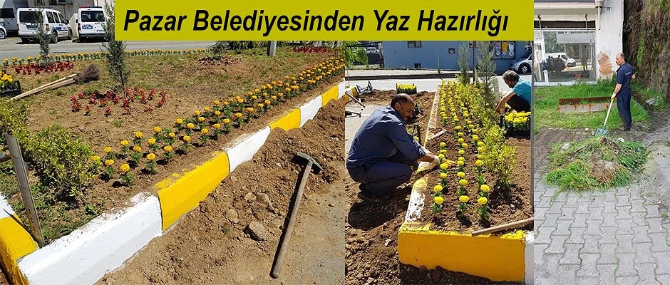 Pazar Belediyesinden Bahar Çalışmaları yapılıyor