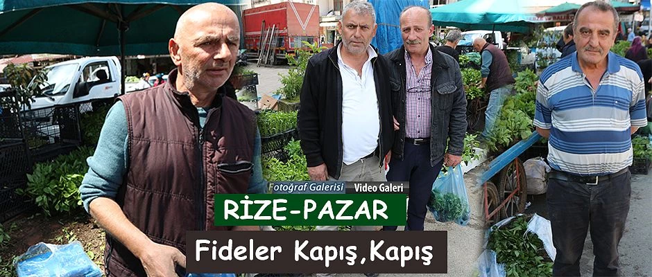 Rize-Pazar’da Fide satışına büyük ilgi