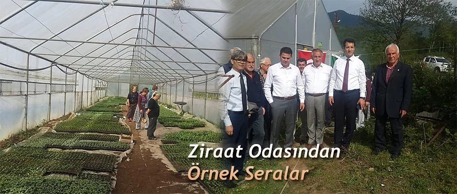 ZİRAAT ODASINDAN ÖRNEK SERALAR