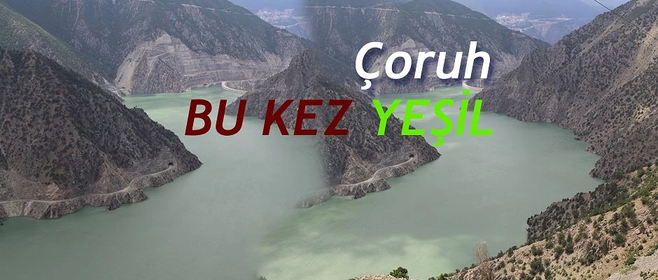 ÇORUH NEHRİ YEŞİLE BÜRÜNDÜ