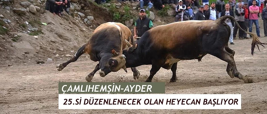 Geleneksel Ayder Festivali başlıyor !