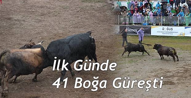 ilk gününde 41 boğa arenada mücadele etti