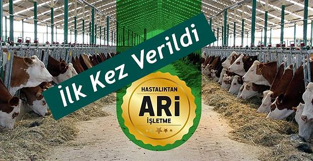 İLK KEZ HASTALIKTAN ARİ İŞLETME BELGESİ VERİLDİ