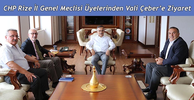 CHP İl Genel Meclisi Üyelerinden, Vali Çeber’e Ziyaret