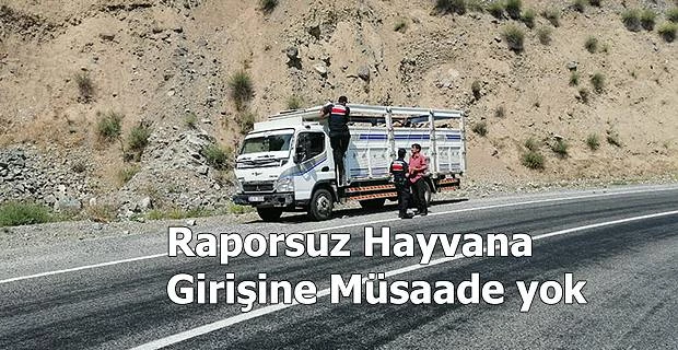 İZİNSİZ VE RAPORSUZ HAYVAN GİRİŞİNE İZİN VERMİYOR.